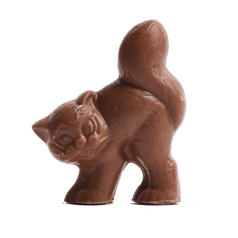 Schokoladenkatze teuscher