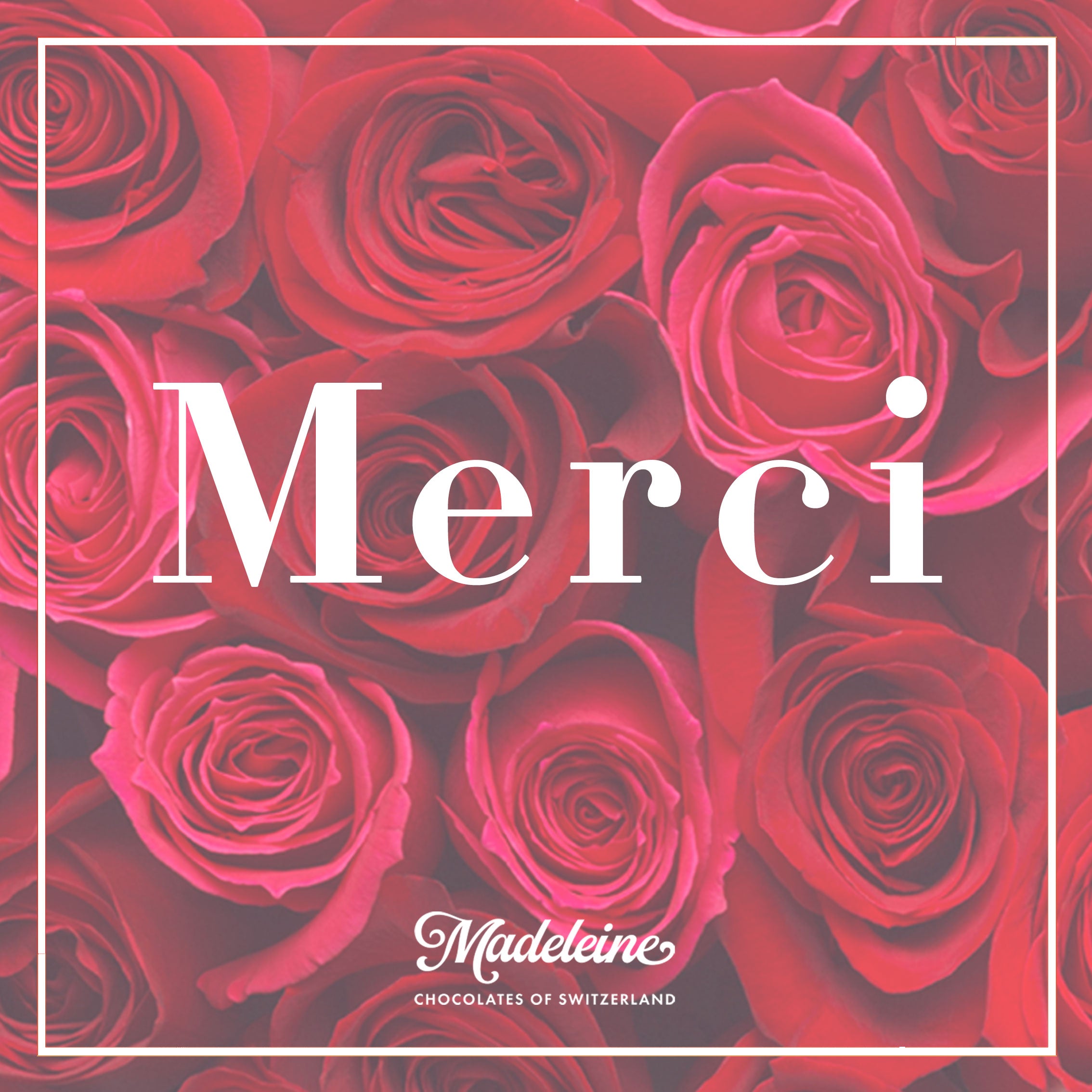 My truffles with greeting template