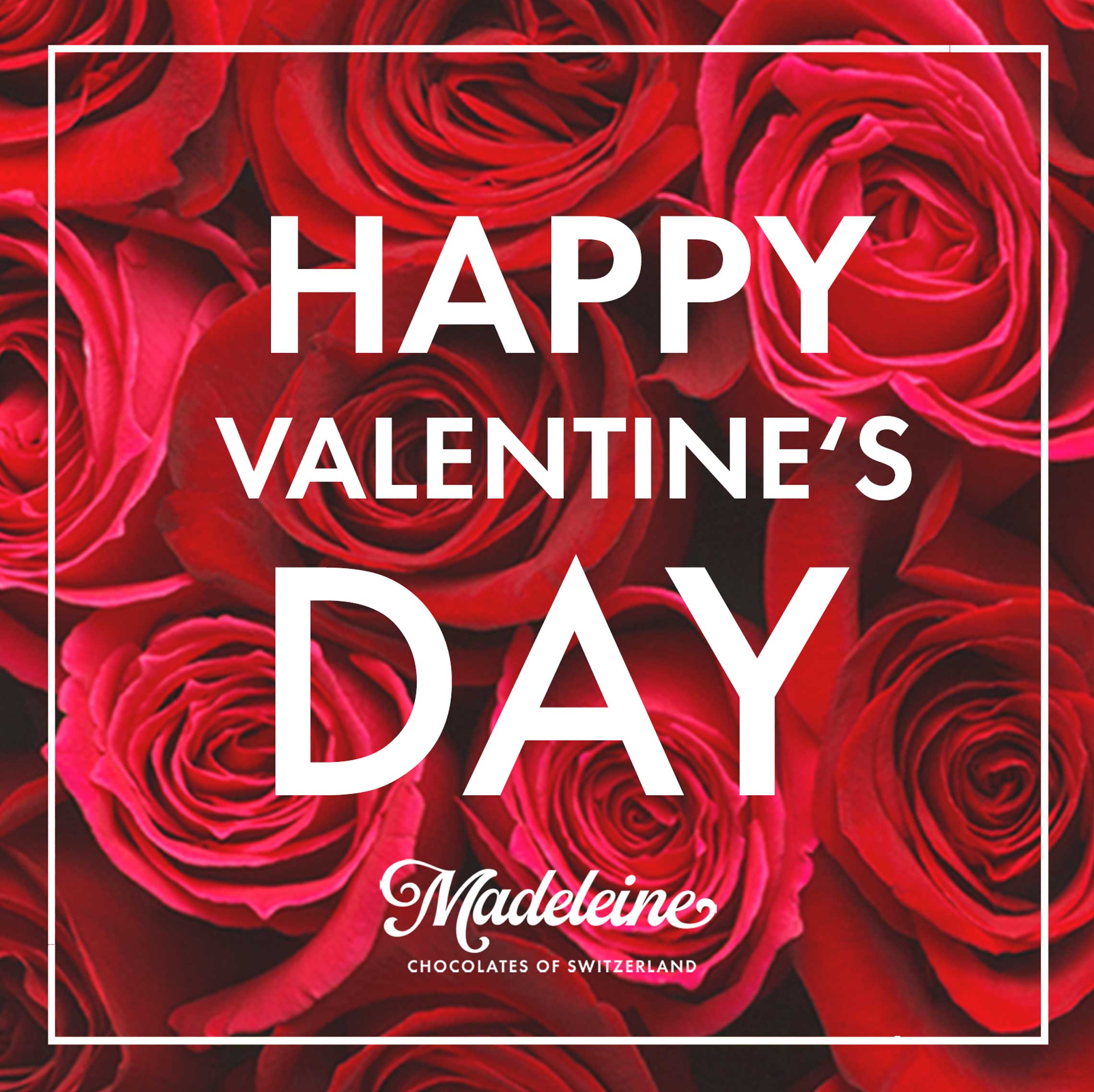 Meine Truffes mit Grussvorlage