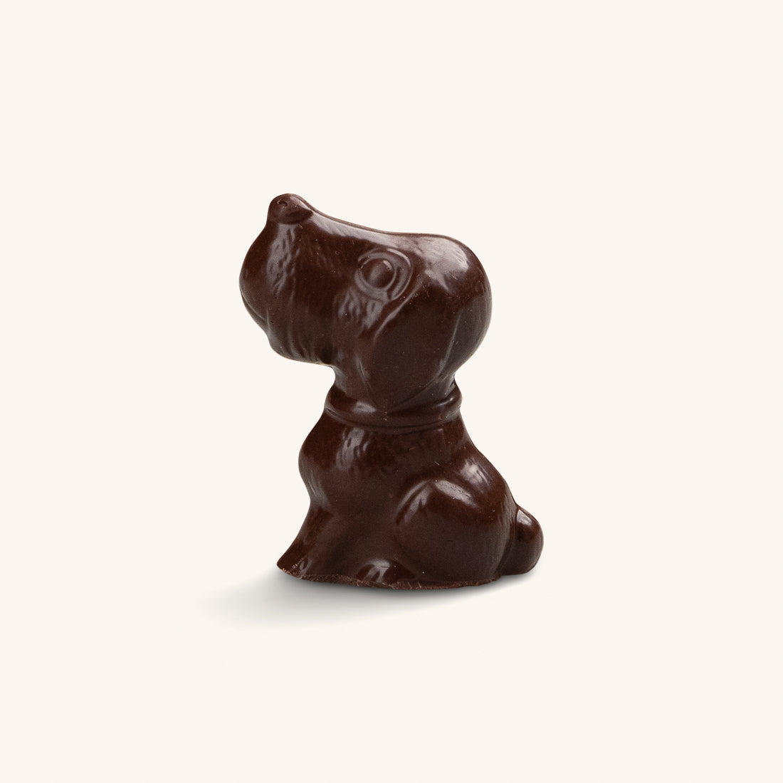 Chocolate Dog