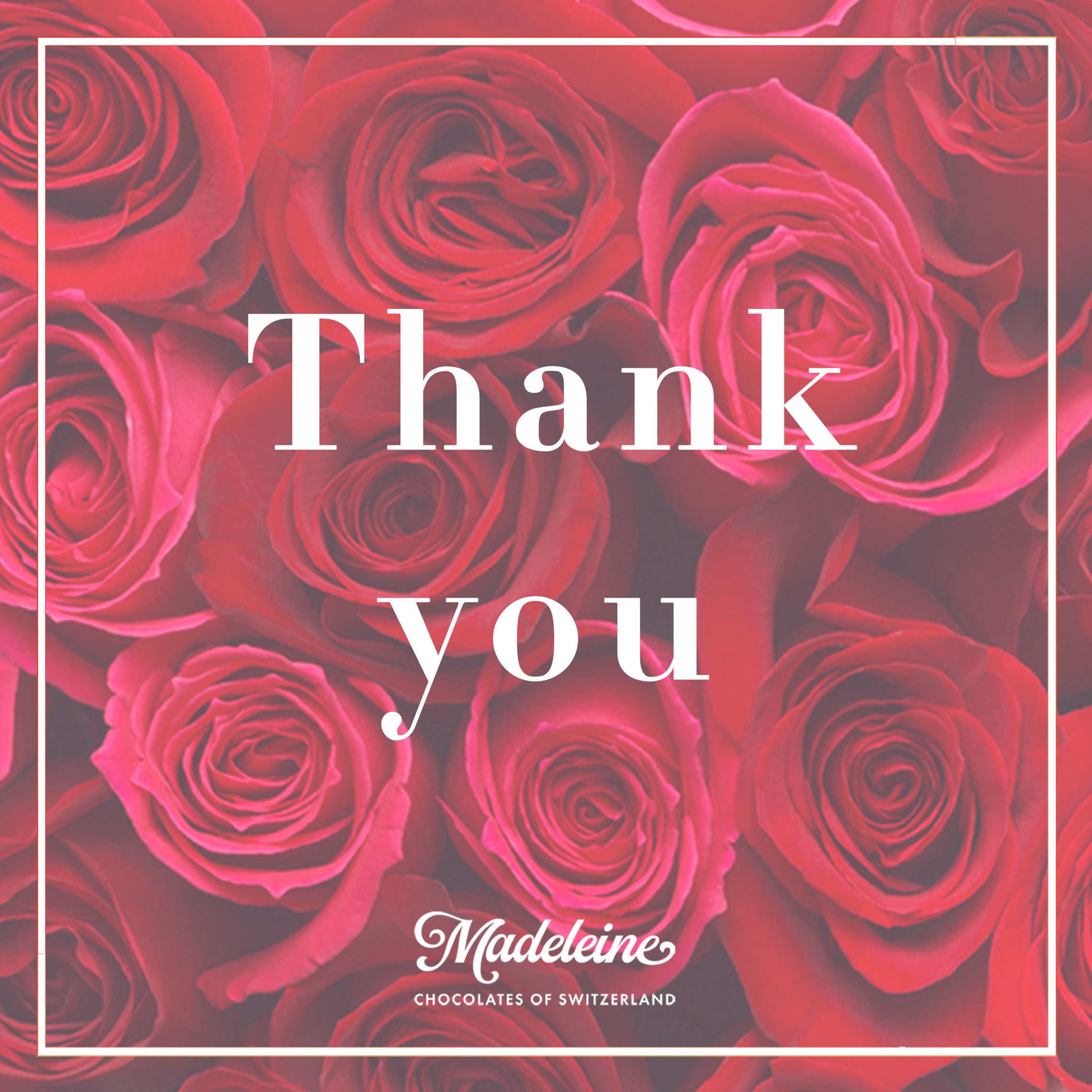 My truffles with greeting template