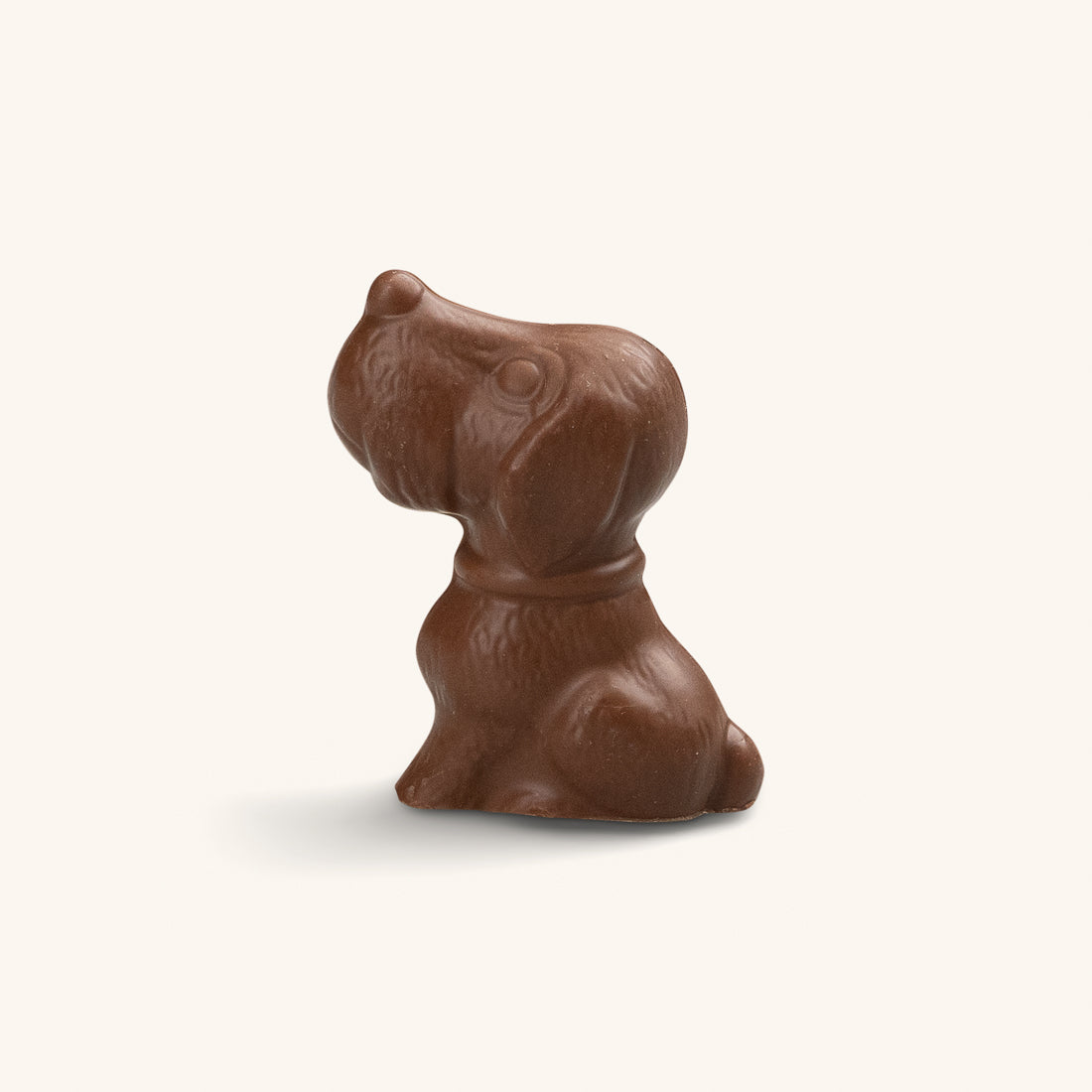 Chocolate Dog 