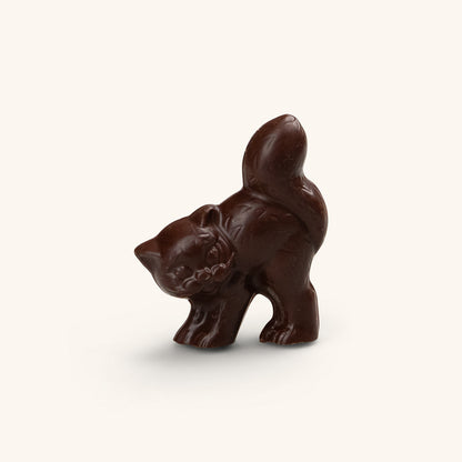 Chocolate Cat 